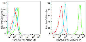 Western blot - Integrin alpha 5 (ITGA5/CD49e) Rabbit mAb (A19069)