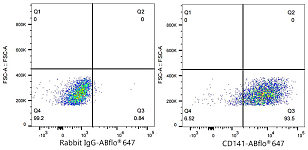 Immunohistochemistry - CD141/Thrombomodulin Rabbit mAb (A21238)