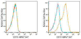 Flow CytoMetry - ABflo® 647 Rabbit anti-Human CD13/ANPEP mAb (A21945)
