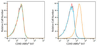 Flow CytoMetry - ABflo® 647 Rabbit anti-Human CD40 mAb (A21947)