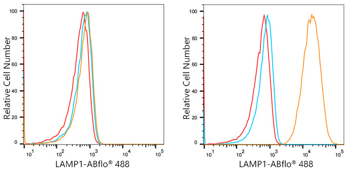 ABflo® 488 Rabbit anti-Human LAMP1/CD107a mAb