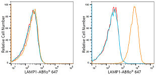 Flow CytoMetry - ABflo® 647 Rabbit anti-Human LAMP1/CD107a mAb (A22068)