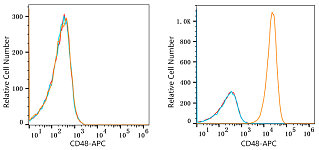 Flow CytoMetry - APC Rabbit anti-Human CD48 mAb, glycerol free (A22209N)