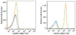 Flow CytoMetry - ABflo® 647 Rabbit anti-Human LAMP2 mAb (A22217)