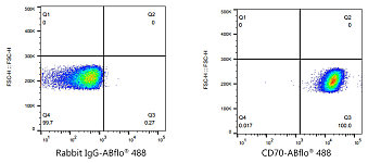 Flow CytoMetry - ABflo® 488 Rabbit anti-Human CD70 mAb (A22302)