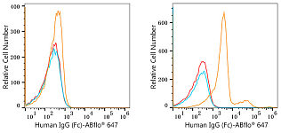 Flow CytoMetry - ABflo® 647 Rabbit anti-Human IgG (Fc) mAb (A22505)