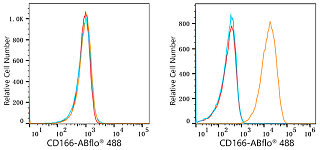 Flow CytoMetry - ABflo® 488 Rabbit anti-Human CD166/ALCAM mAb (A22633)