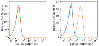 Flow CytoMetry - ABflo® 647 Rabbit anti-Human CD166/ALCAM mAb (A22634)