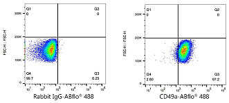 Flow CytoMetry - ABflo® 488 Rabbit anti-Human ITGA1/CD49a mAb (A22691)