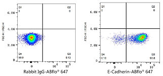 Flow CytoMetry - ABflo® 647 Rabbit anti-Human E-Cadherin/CD324 mAb (A22693)
