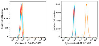 Flow CytoMetry - ABflo® 488 Rabbit anti-Human Cytokeratin 8 mAb (A23018)