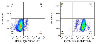 Flow CytoMetry - ABflo® 647 Rabbit anti-Human Cytokeratin 8 mAb (A23019)