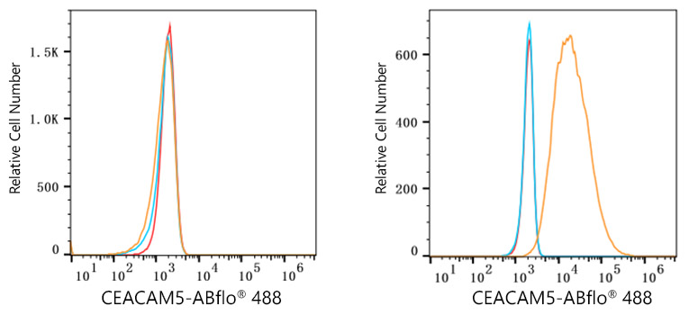 ABflo® 488 Rabbit anti-Human CEACAM5/CD66e mAb