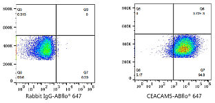 Flow CytoMetry - ABflo® 647 Rabbit anti-Human CEACAM5/CD66e mAb (A23022)