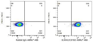 Flow CytoMetry - ABflo® 488 Rabbit anti-Human ICAM2/CD102 mAb (A23109)