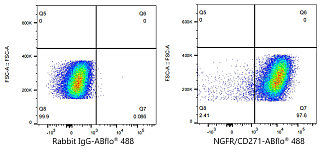 Flow CytoMetry - ABflo® 488 Rabbit anti-Human NGFR/CD271 mAb (A23118)