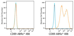 Flow CytoMetry - ABflo® 488 Rabbit anti-Human CD89 mAb (A23348)