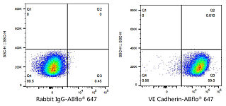Flow CytoMetry - ABflo® 647 Rabbit anti-Human CD144/VE Cadherin mAb (A23351)