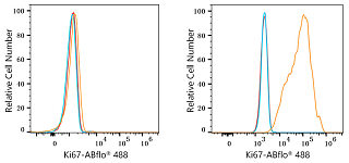 Flow CytoMetry - ABflo® 488 Rabbit anti-Human Ki67 mAb (A23407)