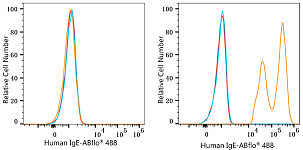 Flow CytoMetry - ABflo® 488 Rabbit anti-Human IgE mAb (A23696)