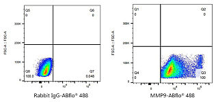 Flow CytoMetry - ABflo® 488 Rabbit anti-Human MMP9 mAb (A23732)
