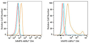 Flow CytoMetry - ABflo® 594 Rabbit anti-Human MMP9 mAb (A23734)