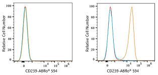 Flow CytoMetry - ABflo® 594 Rabbit anti-Human CD239/BCAM mAb (A23746)