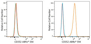 Flow CytoMetry - ABflo® 594 Rabbit anti-Human CD352/SLAMF6 mAb (A23800)