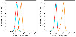 Flow CytoMetry - ABflo® 488 Rabbit anti-Human/Mouse BCL6 mAb (A23847)