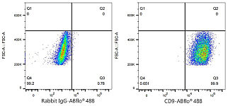 Flow CytoMetry - ABflo® 488 Rabbit anti-Human CD9 mAb (A24156)