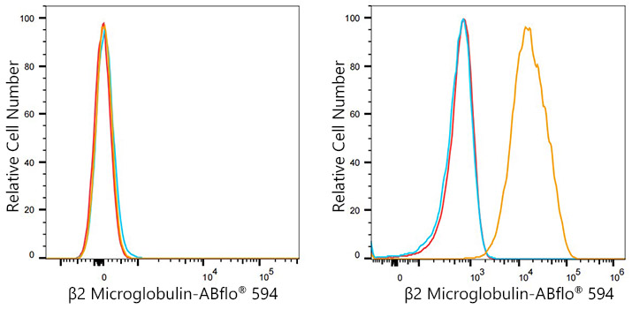 ABflo® 594 Rabbit anti-Human β2 Microglobulin mAb
