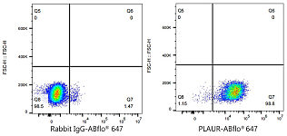 Flow CytoMetry - ABflo® 647 Rabbit anti-Human CD87/PLAUR mAb (A24231)