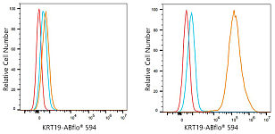 Flow CytoMetry - ABflo® 594 Rabbit anti-Human Cytokeratin 19 (KRT19) mAb (A24259)