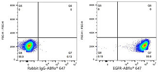 Flow CytoMetry - ABflo® 647 Rabbit anti-Human EGFR mAb (A24266)