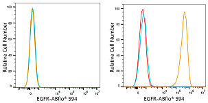 Flow CytoMetry - ABflo® 594 Rabbit anti-Human EGFR mAb (A24267)
