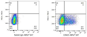 Flow CytoMetry - ABflo® 647 Rabbit anti-Human CD62E/E-Selectin mAb (A24309)