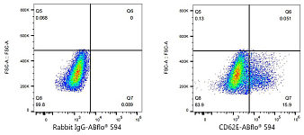 Flow CytoMetry - ABflo® 594 Rabbit anti-Human CD62E/E-Selectin mAb (A24310)
