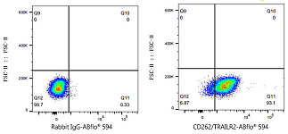 Flow CytoMetry - ABflo® 594 Rabbit anti-Human Flt3/CD135  mAb (A24382)