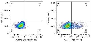Flow CytoMetry - ABflo® 488 Rabbit anti-Human CD177 mAb (A24401)