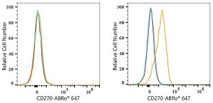 Flow CytoMetry - ABflo® 647 Rabbit anti-Human CD270/HVEM mAb (A24418)