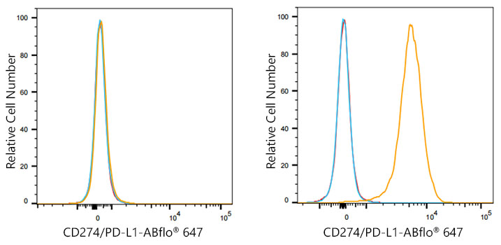 ABflo® 647 Rabbit anti-Mouse CD274/PD-L1 mAb