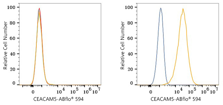 ABflo® 594 Rabbit anti-Human CEACAM5/CD66e mAb