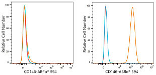 Flow CytoMetry - ABflo® 594 Rabbit anti-Human CD146 mAb (A24589)