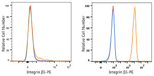 Flow CytoMetry - PE Rabbit anti-Human Integrin β5/ITGB5 mAb (A24597)