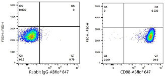 Western blot - CD98/SLC3A2 Rabbit mAb (A24735)