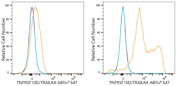 ABflo® 647 Rabbit anti-Human TNFRSF10D/TRAILR4 mAb