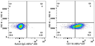 Flow CytoMetry - LIFR/CD118 Rabbit mAb (A25091)