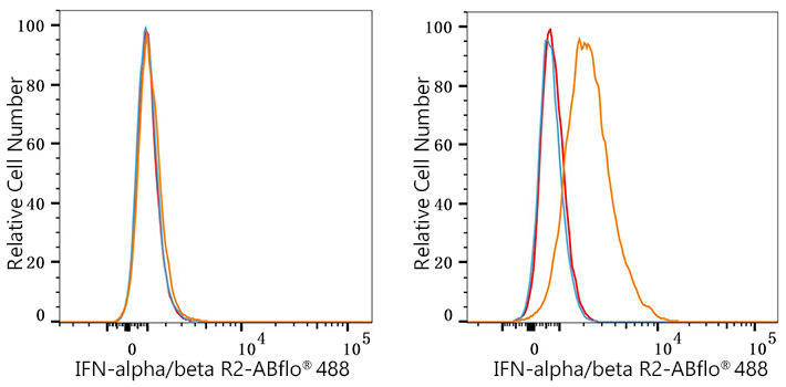 ABflo® 488 Rabbit anti-Human IFN-alpha/beta R2 mAb