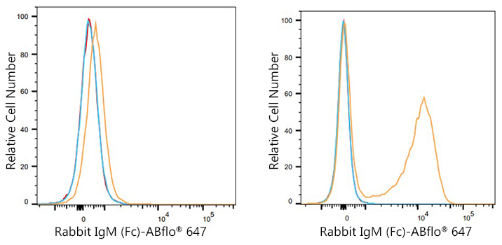 ABflo® 647 Mouse Anti-Rabbit IgM (Fc) mAb