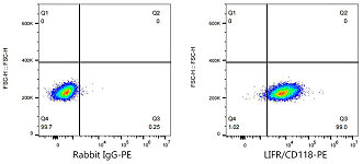 Flow CytoMetry - PE Rabbit anti-Human LIFR/CD118 mAb (A25211)